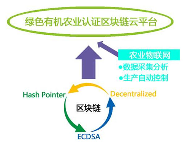 探索区块链改变农业和应对关键挑战的潜力