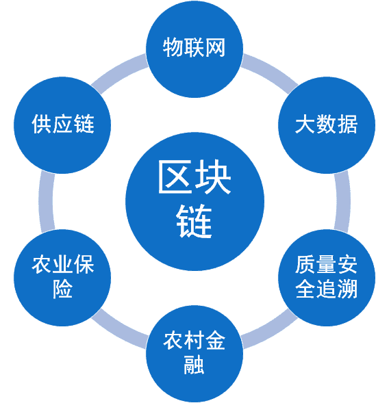 探索区块链改变农业和应对关键挑战的潜力